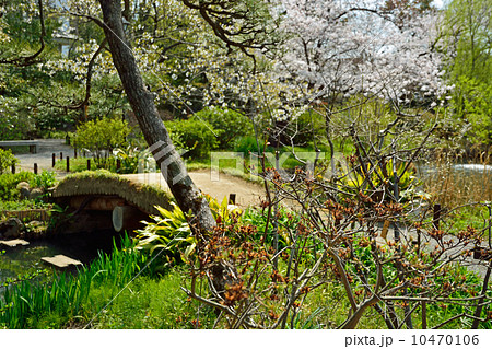 向島百花園 向島百花園 10470106