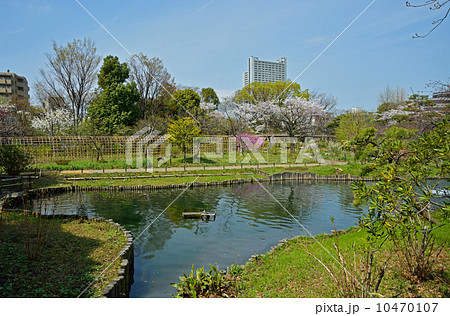 向島百花園 10470107