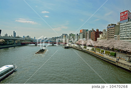 隅田川河畔桜満開・花川戸 隅田川河畔桜満開・花川戸 10470268