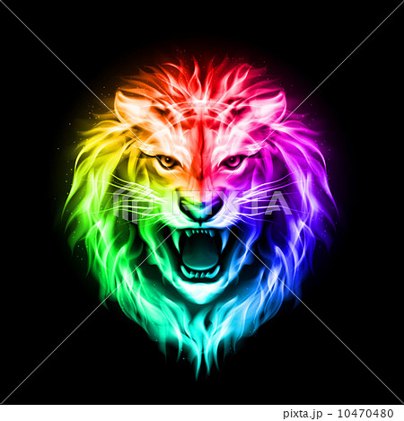 Head Of Colorful Fire Lionのイラスト素材 10470480 Pixta