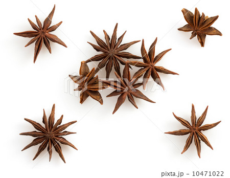 anise star on white anise star on white 10471022