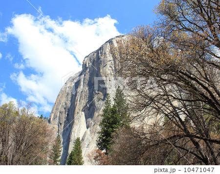 春のヨセミテ国立公園 春のヨセミテ国立公園 10471047