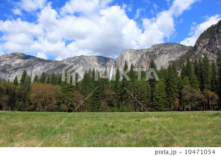 春のヨセミテ国立公園 10471054