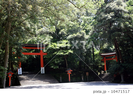 宇佐神宮鳥居 宇佐神宮鳥居 10471517