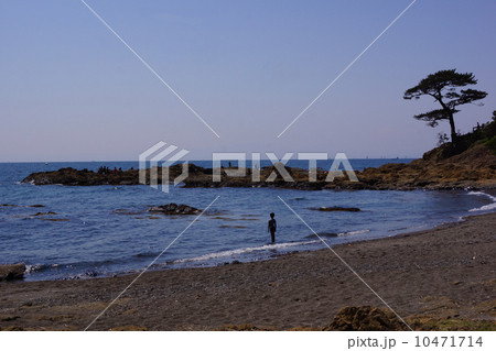 秋谷・立石海岸 10471714