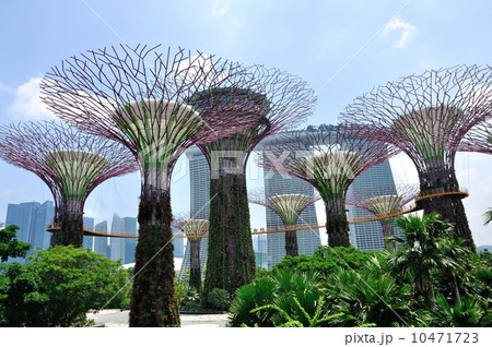 Gardens By The Bay 10471723