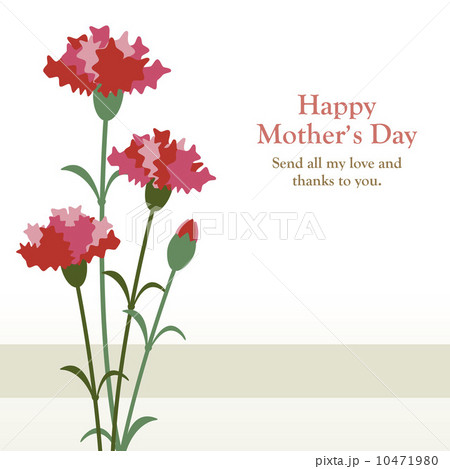 Carnation for mother 10471980