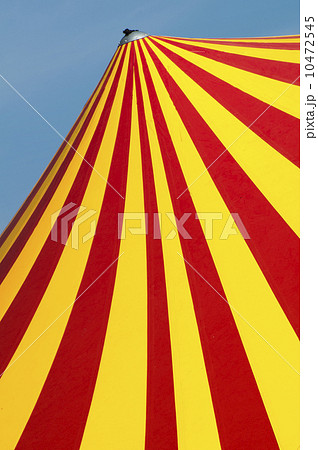Circus dome Circus dome 10472545