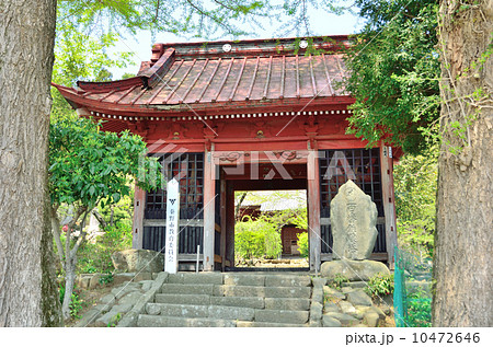 宝蓮寺仁王門 宝蓮寺仁王門 10472646