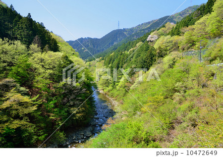 中津川 中津川 10472649