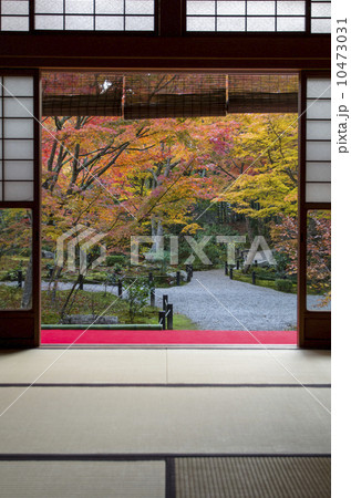 圓光寺の紅葉 10473031