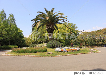 堺市大泉緑地公園 10473822