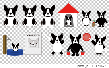 犬 ボストンテリアのイラスト素材 犬 ボストンテリアのイラスト素材