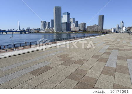 豊洲公園から望む晴海トリトンスクエア 10475091