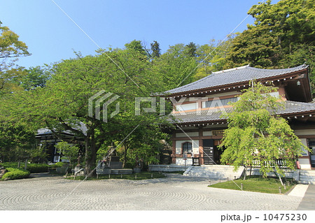長谷寺の初夏 長谷寺の初夏 10475230