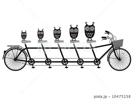 owl family on tandem bicycle, vector illustration owl family on tandem bicycle, vector illustration 10475238