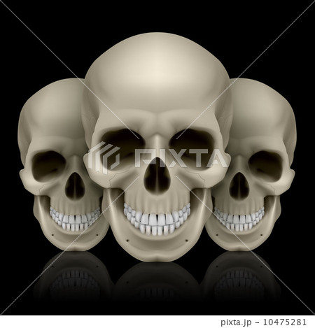 Three skulls 10475281