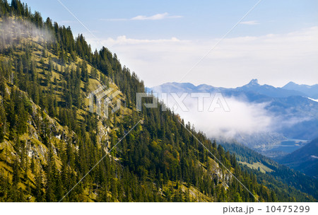 Bavarian Alps with fog 10475299