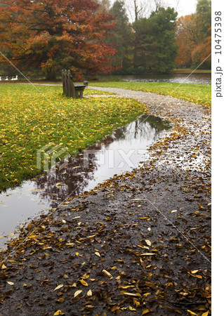 puddle on path in autumn puddle on path in autumn 10475398