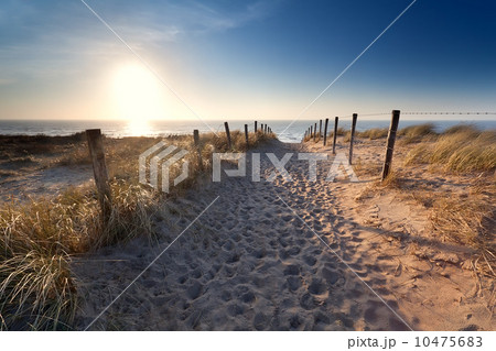 sand path to North sea beach 10475683