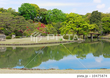 六義園のツツジと若葉に新緑 10475874