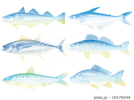 set of sea fishes, vector illustration set of sea fishes, vector illustration 10476046