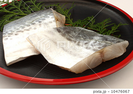 鰆　魚　食材　和食　白背景 10476067