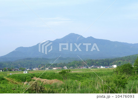 霊峰米山 10476093