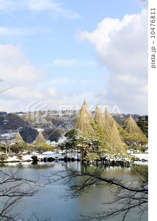 冬の兼六園(唐崎松雪吊り) 冬の兼六園(唐崎松雪吊り) 10476811