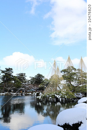冬の兼六園(唐崎松雪吊り) 冬の兼六園(唐崎松雪吊り) 10476820