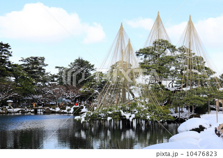冬の兼六園(唐崎松雪吊り) 冬の兼六園(唐崎松雪吊り) 10476823