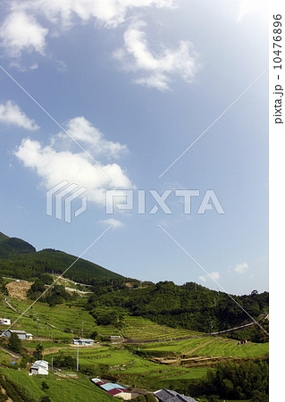 那智勝浦町色川地区 10476896