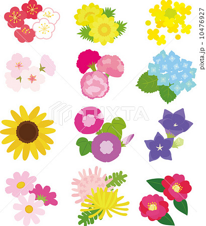12か月の日本の花のイラスト素材 10476927 Pixta