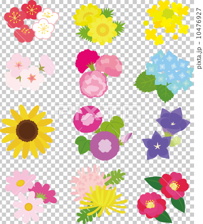 12か月の日本の花のイラスト素材 10476927 Pixta