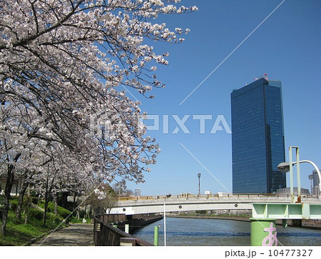 都市風景 春爛漫 都市風景 春爛漫 10477327