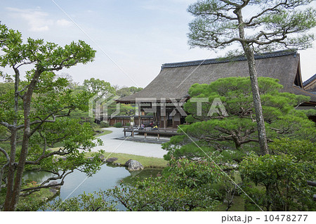 仁和寺御殿の宸殿と北庭 10478277