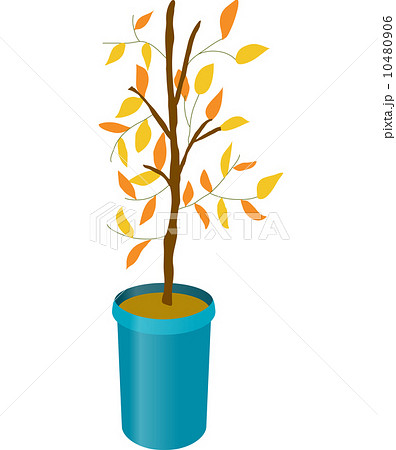 The view of tree 10480906