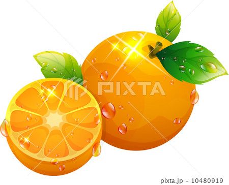 The view of orange 10480919