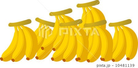 The view of banana 10481139
