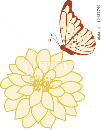 The view of flower 10481746