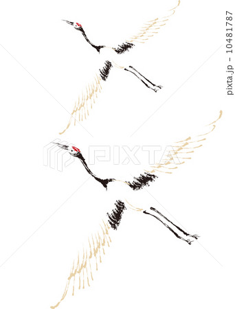 The view of crane 10481787