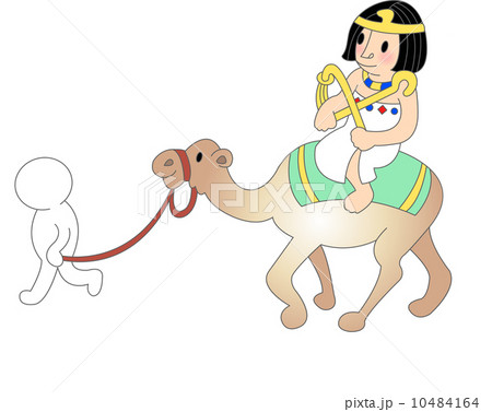The view of man on a camel The view of man on a camel 10484164