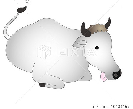 The view of bull The view of bull 10484167