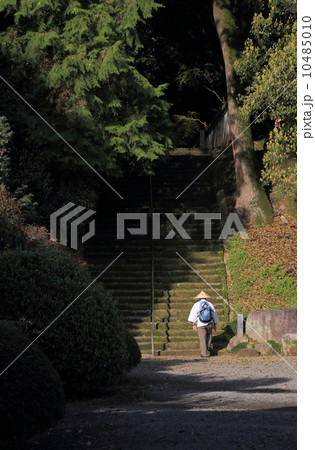 四国霊場第67番札所「大興寺」石段を上るお遍路さん 10485010