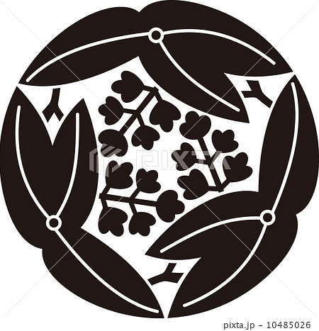 三つ追い葉沢瀉のイラスト素材