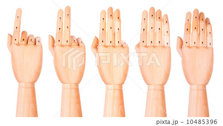 Counting wooden hands (1 to 5) 10485396