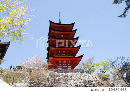 厳島の五重の塔の景色 厳島の五重の塔の景色 10485443