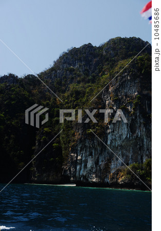 マヤベイ 10485686