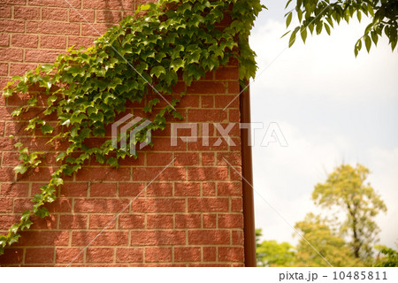 レンガ 10485811
