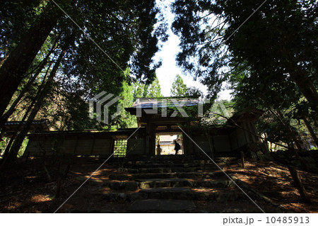 常照皇寺 常照皇寺 10485913